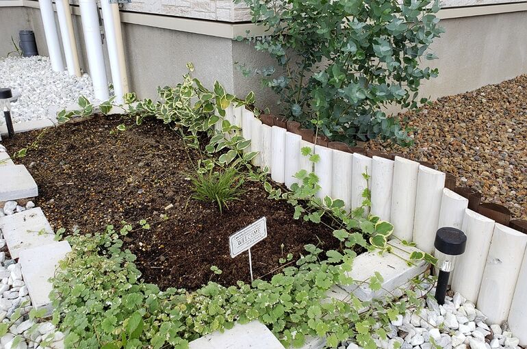 IMG_16072020_153957_(1000_x_800_ピクセル)