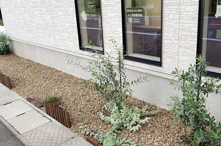 IMG_16072020_154043_(800_x_800_ピクセル)